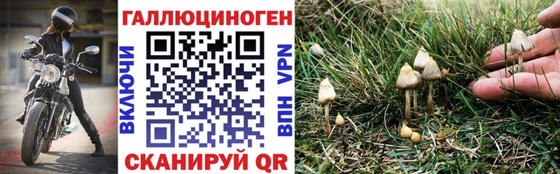 Галлюциногенные грибы GOLDEN TEACHER  Сургут 