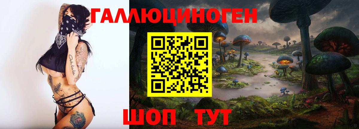 Галлюциногенные грибы мицелий  Вход с VPN  Галлюциногенные грибы прущие грибы  Сургут 